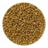 Miyuki Rocailles seed beads, 11/0 24k Gold Light Plated (193) 2g