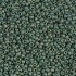 Miyuki Rocailles seed beads, 11/0 Mat Metallic Sage Green Luster (2031)
