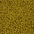 Miyuki Rocailles seed beads 8/0 Opaque Matte Mustard (2312) 8g