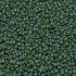 Miyuki Rocailles seed beads, 11/0 Opaque Glazed Frosted Turtle Green (4699)