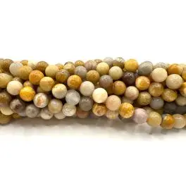 Indonesisk fosil jaspis, rund 6mm, hel streng - Fosil jaspis